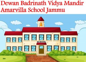 Dewan Badrinath Vidya Mandir Amarvilla School Jammu