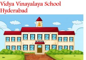 Vidya Vinayalaya School Hyderabad