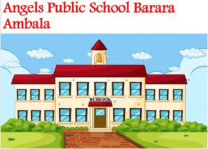 Angels Public School Barara Ambala