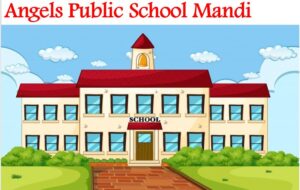 Angels Public School Mandi