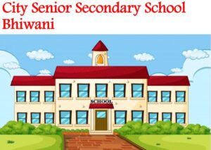 City Senior Secondary School Bhiwani