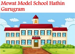 Mewat Model School Hathin Gurugram