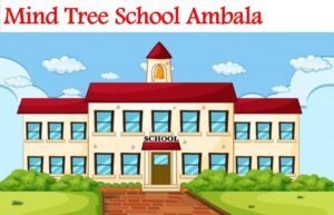 Mind Tree School Ambala