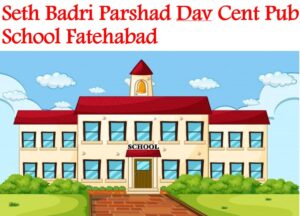 Seth Badri Parshad Dav Cent Pub School Fatehabad