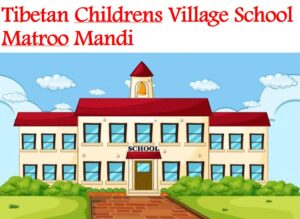 Tibetan Childrens Village School Matroo Mandi