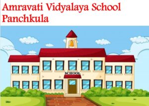 Amravati Vidyalaya School Panchkula