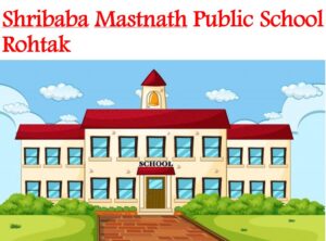 Shribaba Mastnath Public School Rohtak
