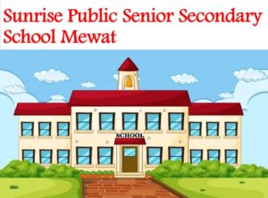 Sunrise Public Senior Secondary School Mewat