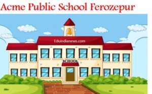 Acme Public School Ferozepur