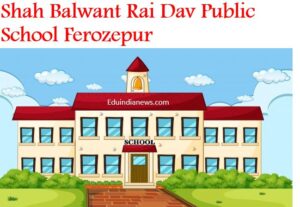 Shah Balwant Rai Dav Public School Ferozepur