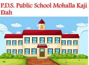PDS Public School Mohalla Kaji Etah