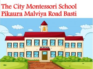 The City Montessori School Pikaura Malviya Road Basti