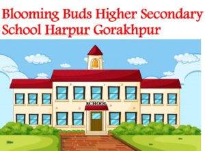 Blooming Buds Higher Secondary School Harpur Gorakhpur