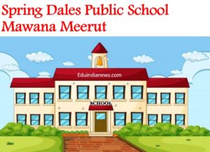 Spring Dales Public School Mawana Meerut