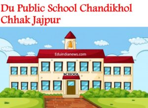 Du Public School Chandikhol Chhak Jajpur