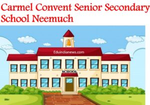 Carmel Convent Senior Secondary School Neemuch