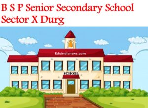 B S P Senior Secondary School Sector X Durg