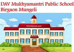 DAV Mukhyamantri Public School Birgaon Mungeli