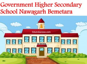 Government Higher Secondary School Nawagarh Bemetara