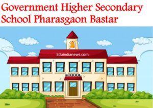 Government Higher Secondary School Pharasgaon Bastar