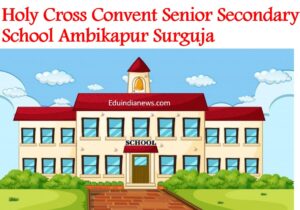 Holy Cross Convent Senior Secondary School Ambikapur Surguja