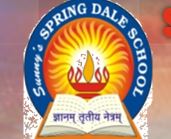 Sunny’s Spring Dale School Bhandara | Admission, Fee, Review, FAQ’s