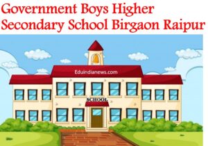 Government Boys Higher Secondary School Birgaon Raipur