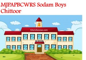 MJPAPBCWRS Sodam Boys Chittoor