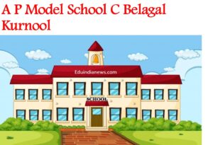 A P Model School C Belagal Kurnool