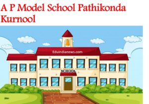 A P Model School Pathikonda Kurnool